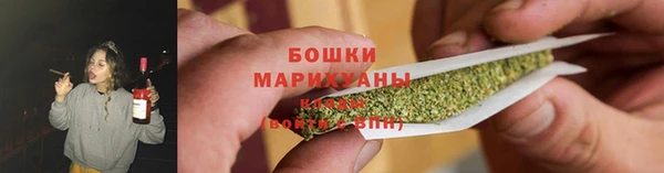 гидропоника Елабуга