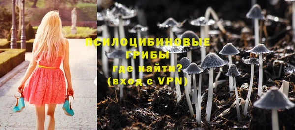 гидропоника Елабуга