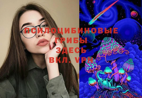 гидропоника Елабуга