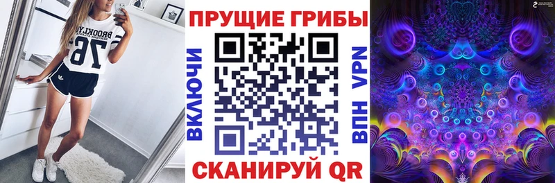Купить где  Кингисепп  Псилоцибиновые грибы ЛСД 