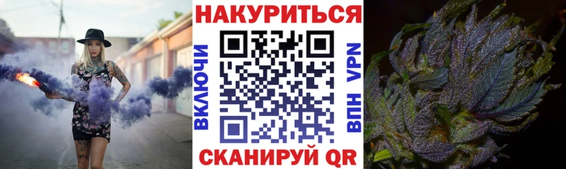 МАРИХУАНА план  Купить где  Кингисепп 